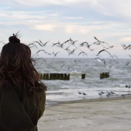 White Pearl 0.06 Apartment